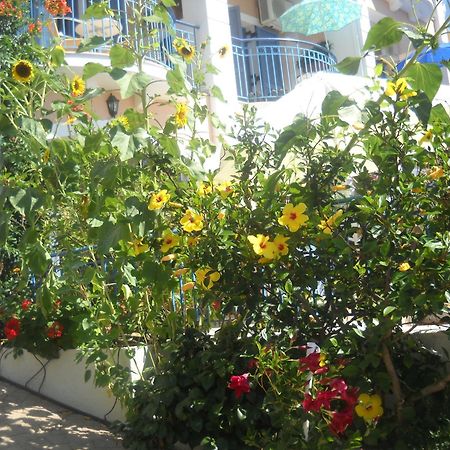 Olive Bay Hotel Agia Efimia Exteriör bild